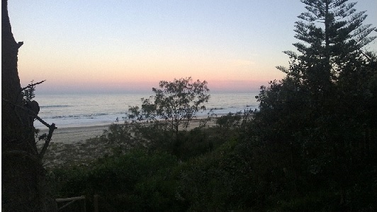Home